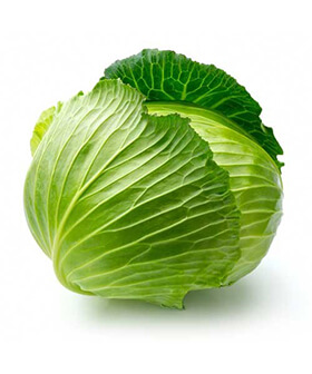 Green cabbage