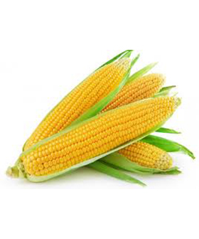 SWEET CORN/PEPPERS,
