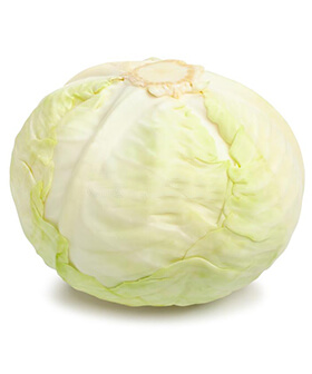 White cabbage