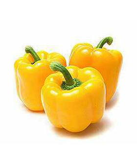 Yellow Capsicum